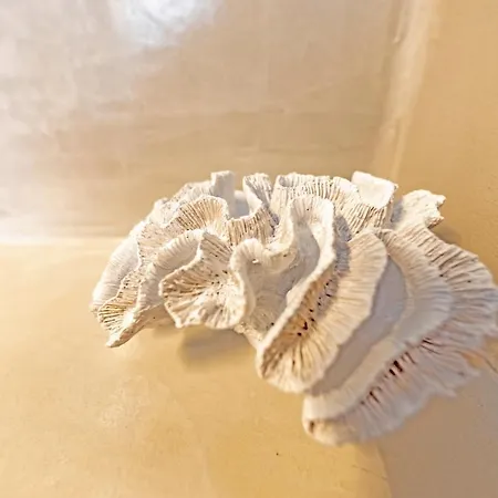 Vendégház Evas House