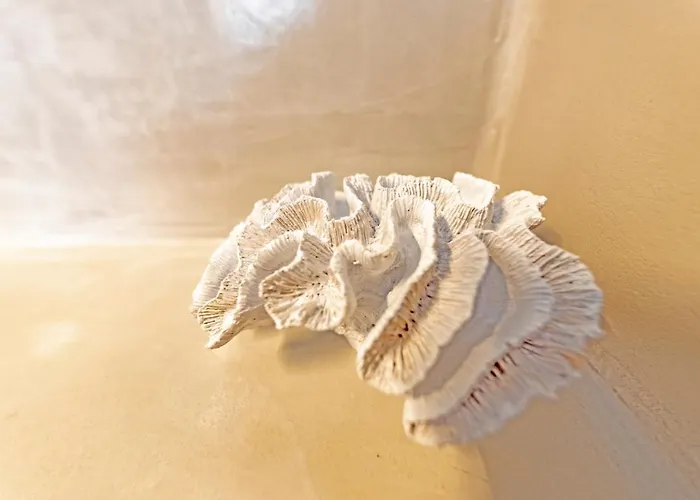 Affittacamere Evas House